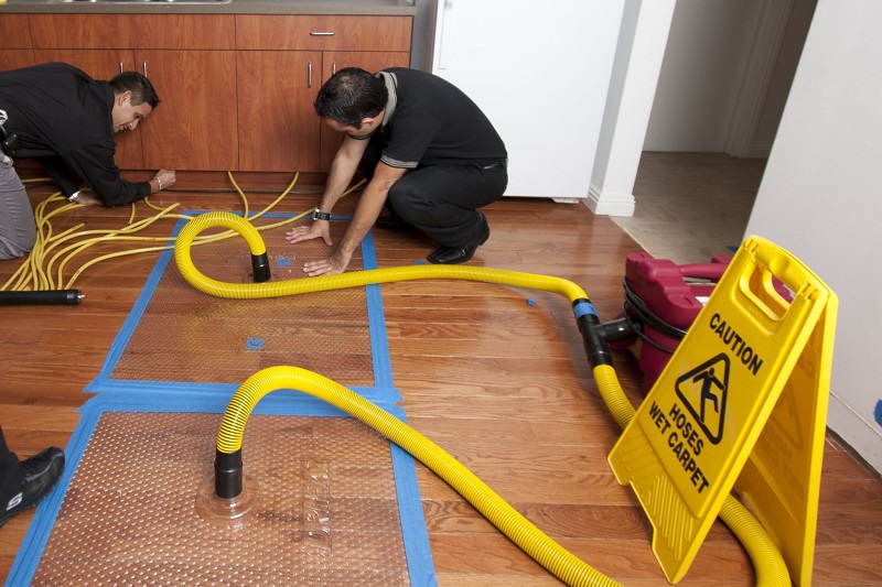 Water Damaged Hardwood Floors: How Professionals Can Help