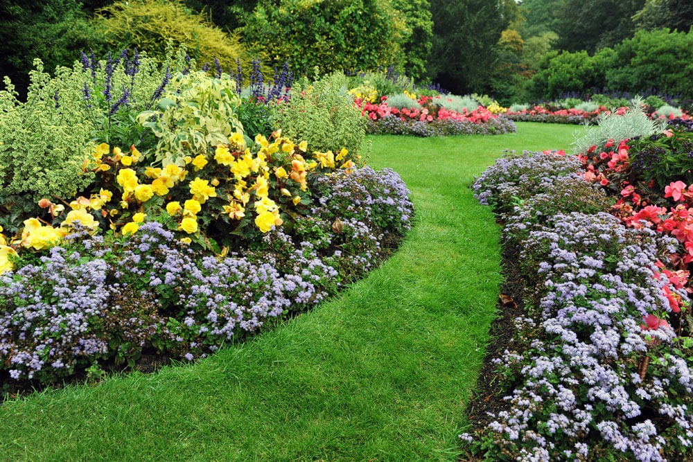 Why Hiring Professional Landscape Maintenance Services is Essential