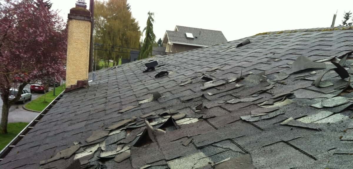 What are the signs that you need a new roof?