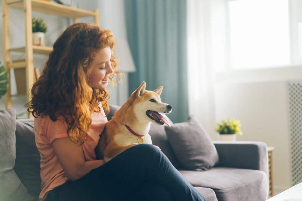 Get Your Renting Apartments That Are Pet Friendly