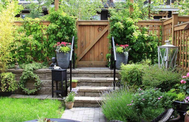 3 Ways To Beautify Your Backyard