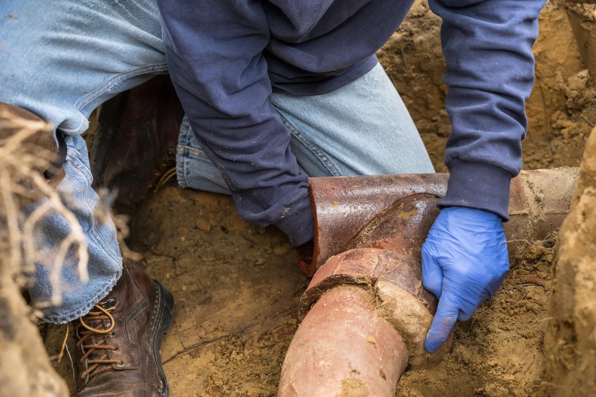 How to Get Rid of Tree Roots in Your Drainage