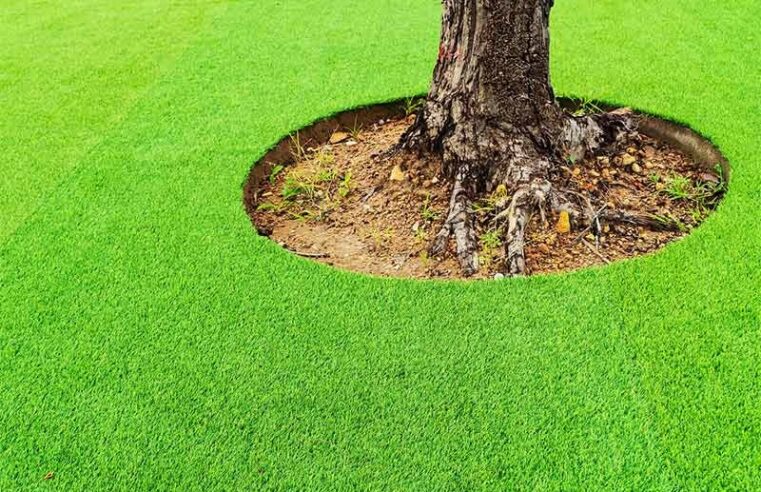 What You Need to Know About Artificial Grass