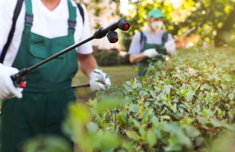 Why pest control is crucial to your commercial establishment?