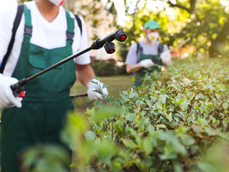 Why pest control is crucial to your commercial establishment?