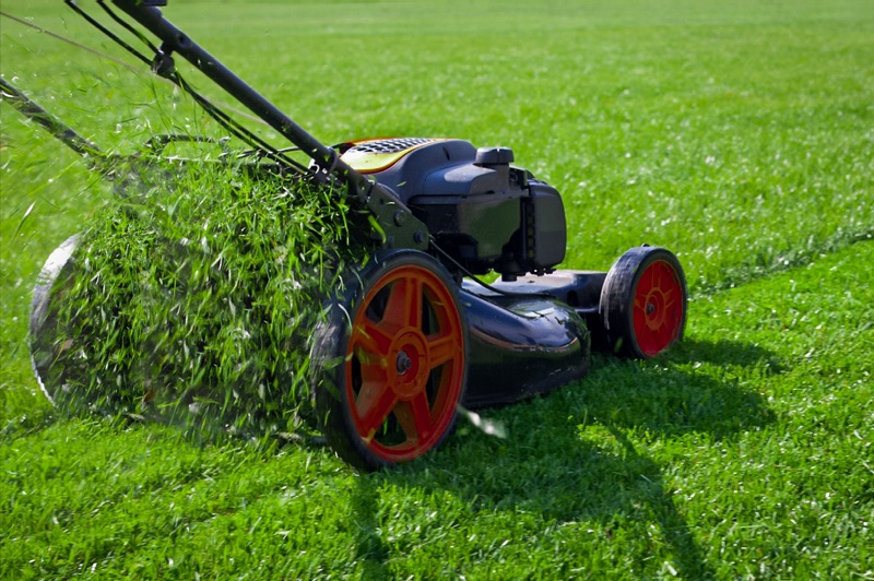 How to Prepare Your Yard for the Spring