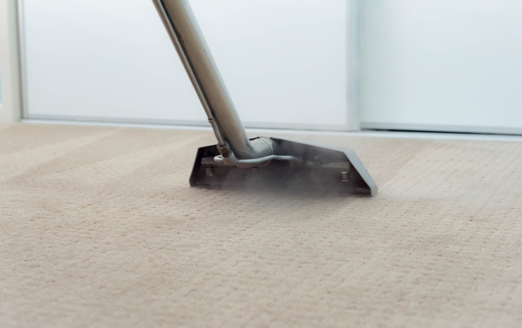 Why is Carpet Steam Cleaning Beneficial for Pet Owners?