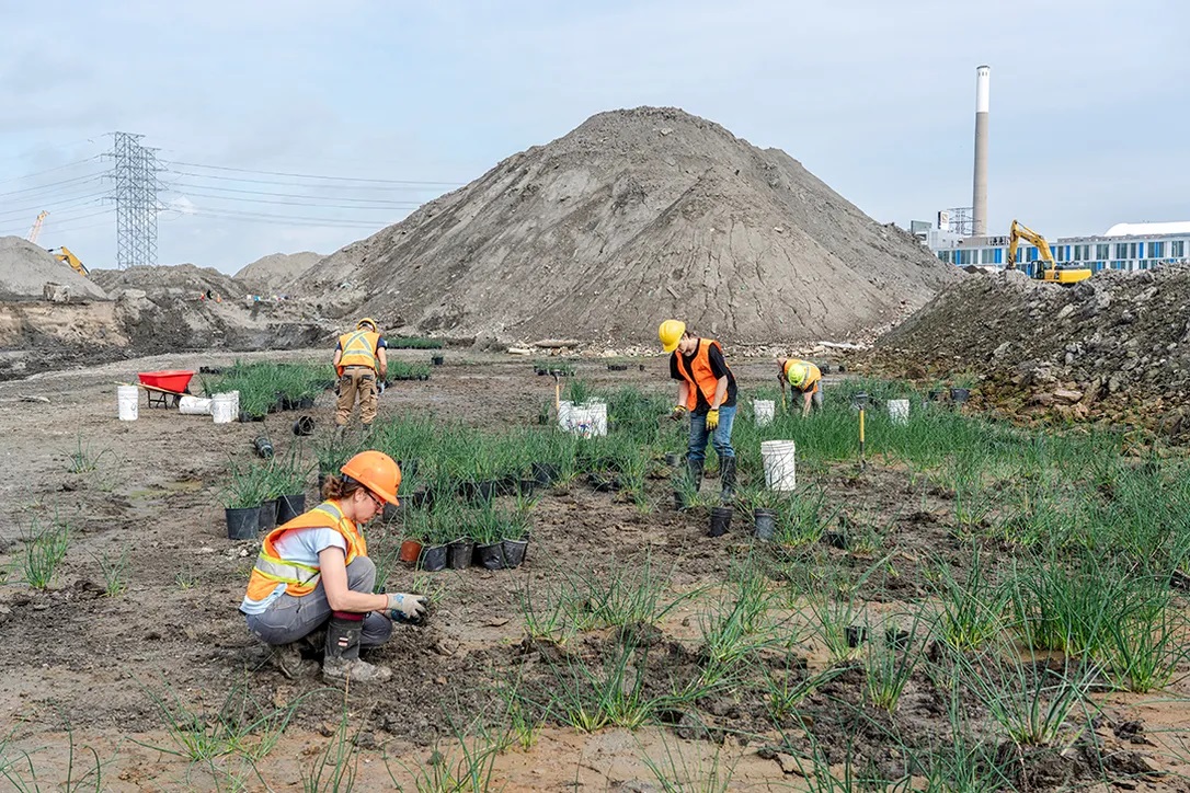 Interesting discoveries when excavating land