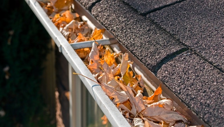 Look At Your Gutters and Call the Professionals for Fine Services