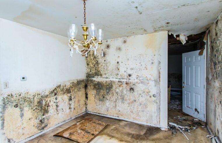 How Fast Water Damage Can Ruin Your Home?