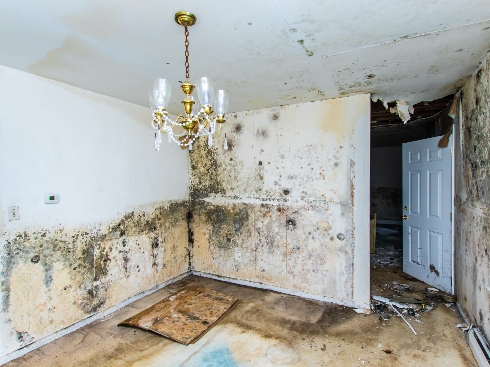 How Fast Water Damage Can Ruin Your Home?