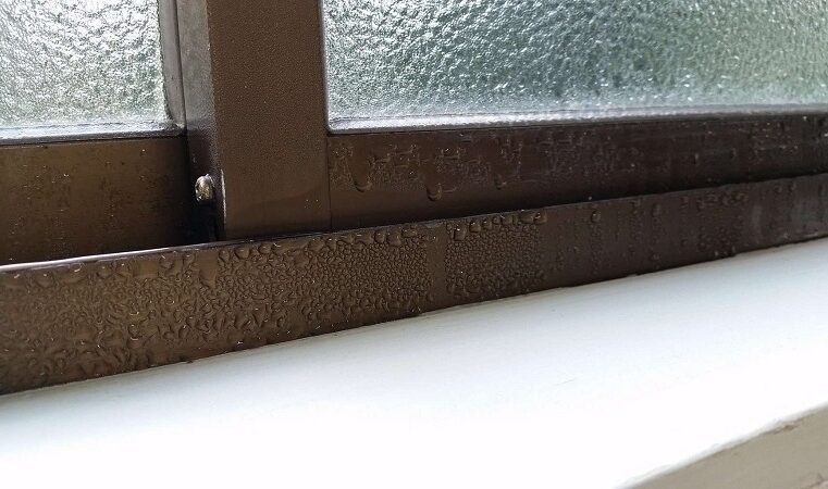 How to Stop Condensation on Windows (and Prevent Bigger Problems)
