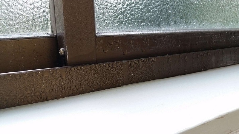 How to Stop Condensation on Windows (and Prevent Bigger Problems)