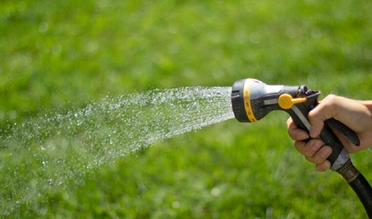 How Much Water is Too Much for Your Lawn?