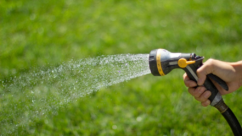 How Much Water is Too Much for Your Lawn?