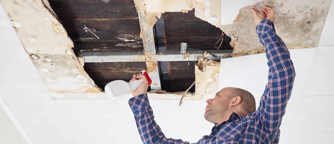 How Mold Can Affect Your Home Value
