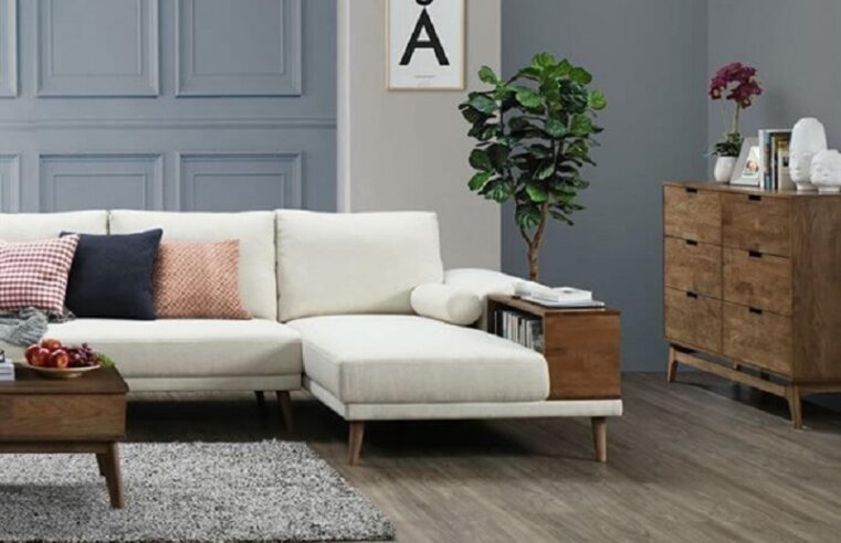 Why do customized sofas become an important part of life?