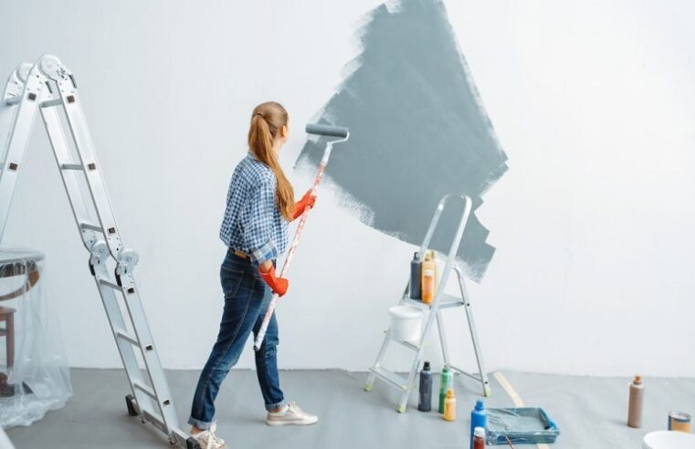 5 Reasons to Choose a Professional Home Painter for Your Next Renovation