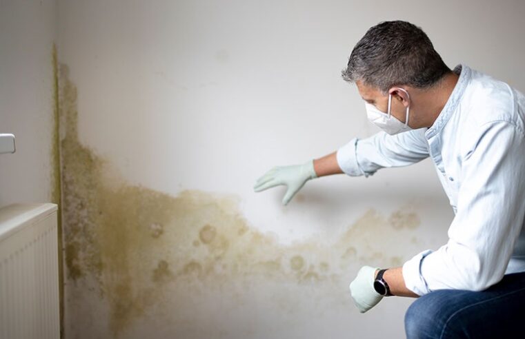 The Unseen Threat: HVAC System Contamination and Mold Intrusion