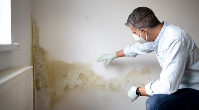 The Unseen Threat: HVAC System Contamination and Mold Intrusion - House ...
