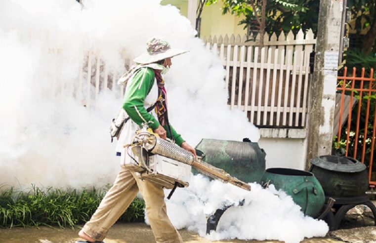 How Pest Control in Singapore Helps Prevent Dengue & Other Diseases