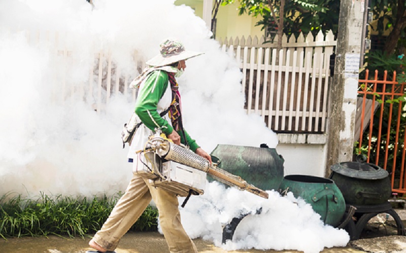 How Pest Control in Singapore Helps Prevent Dengue & Other Diseases