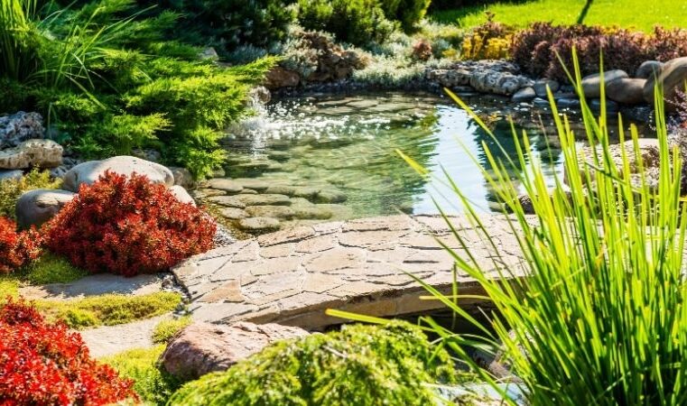 Why Gardening and Landscape Problems Happen and How to Stop Them
