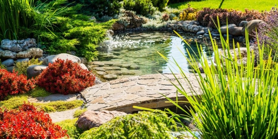 Why Gardening and Landscape Problems Happen and How to Stop Them