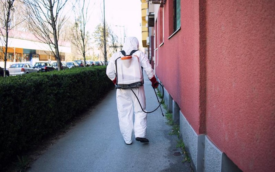 8 Health Risks Of Mosquito Infestations You Should Never Ignore