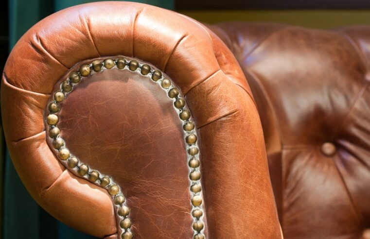 The Smart Selector’s Guide for Choosing Designer Armchairs and Contemporary Furniture in Singapore