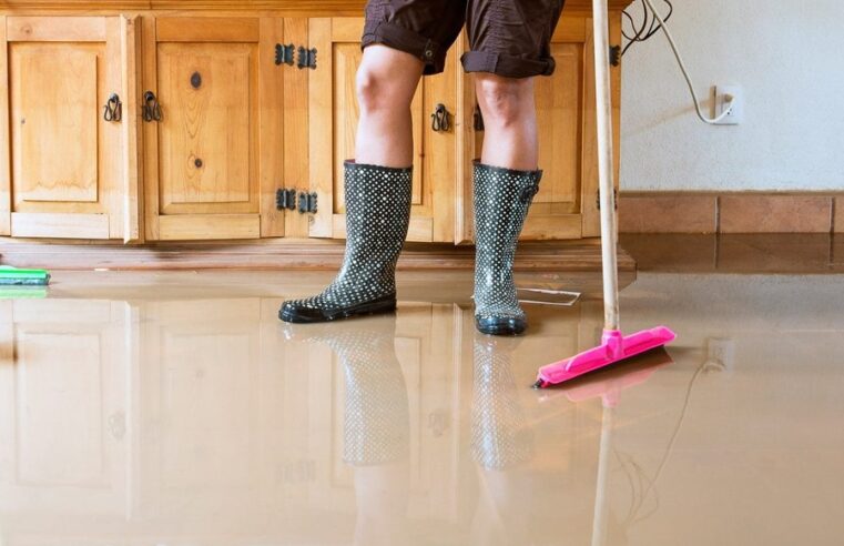 Water Damaged Floor Repair Auckland: What Homeowners Should Do Before It Gets Worse