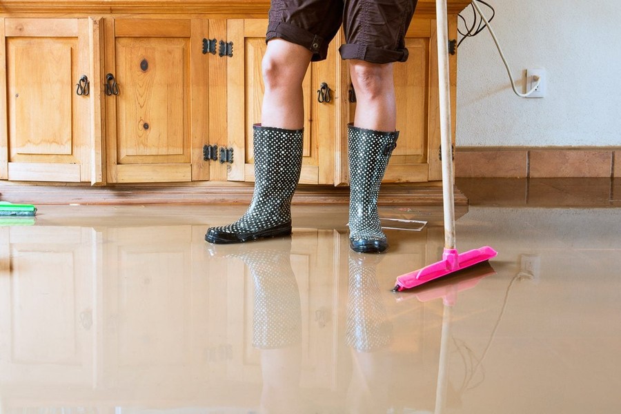 Water Damaged Floor Repair Auckland: What Homeowners Should Do Before It Gets Worse
